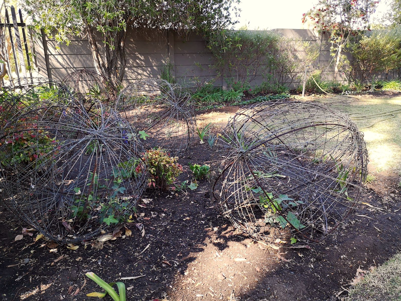 Garden beds