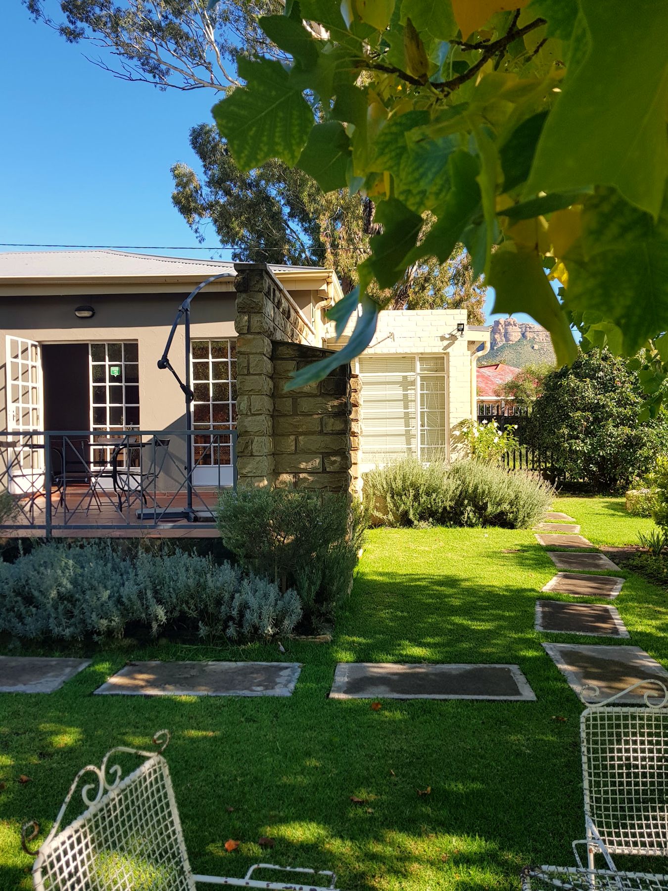 The garden and house