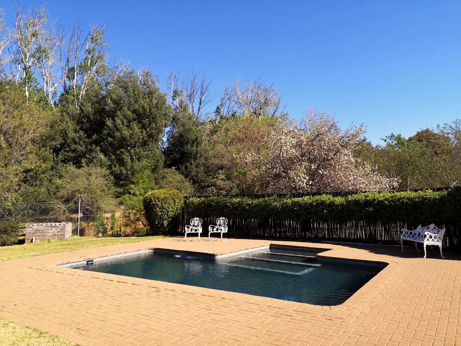 The pool