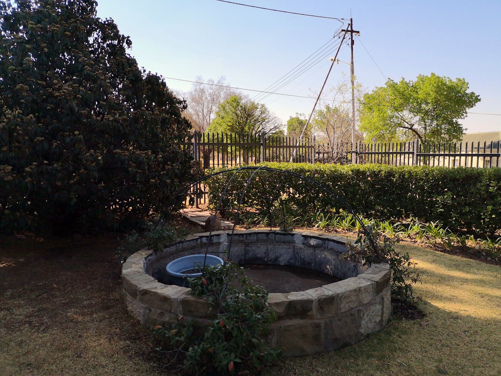 The garden